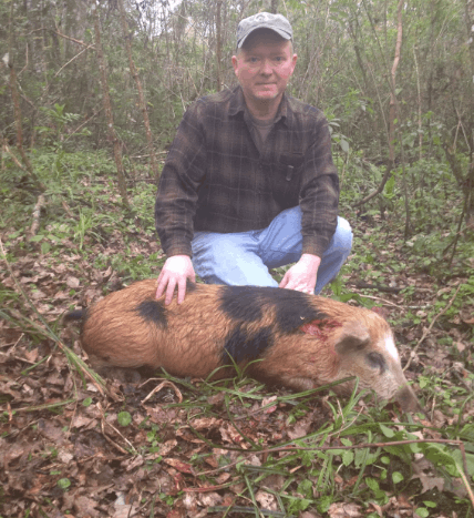 Hog Hunting In Florida